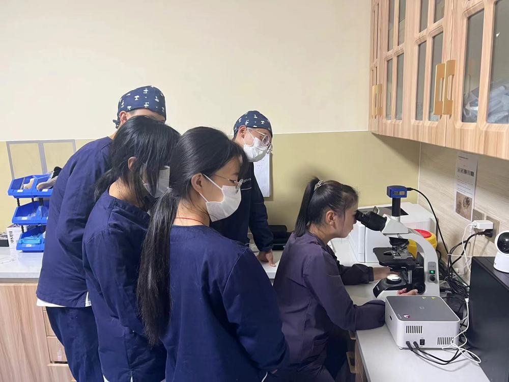 学生在康尔贝宠物医院进行专业认知实习