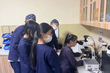 学生在康尔贝宠物医院进行专业认知实习