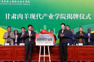 甘肃肉羊现代产业学院成立大会召开