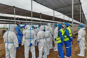 2026年省级职业院校教师素质提高计划（双师素养能力提升教师企业实践培训项目）圆满结业