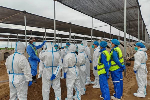 2026年省级职业院校教师素质提高计划（双师素养能力提升教师企业实践培训项目）圆满结业