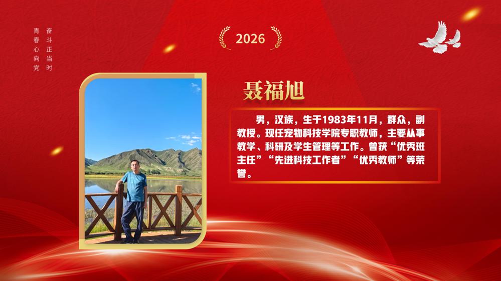 教师节表彰(1)_76