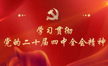 学习贯彻党的二十届四中全会精神