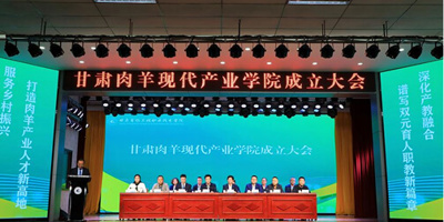 产业学院