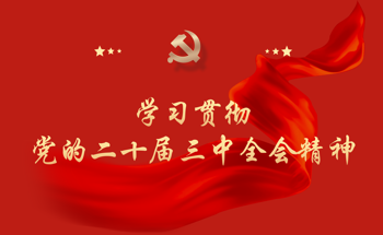 学习贯彻党的二十届四中全会精神